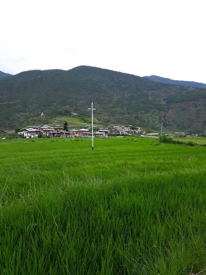 Chimi Lhakhang Village Homestay Punākha Exterior foto